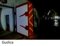 guslica1a