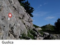 guslica3a